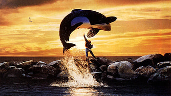 Willy 2 movie, Adventure home, , Movies HD wallpaper