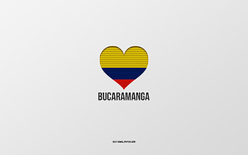 I Love Bucaramanga, Colombian cities, Day of Bucaramanga, gray background, Bucaramanga, Colombia, Colombian flag heart, favorite cities, Love Bucaramanga HD wallpaper