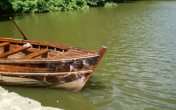 Nature, Water, Shore, Bank, Boat, Sunny, Oars, Paddles, Reflections, Gleams HD wallpaper