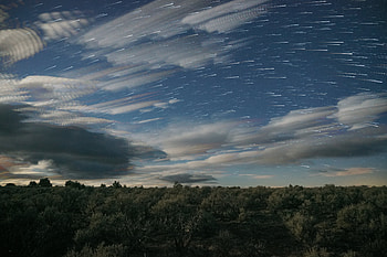Nature, Trees, Stars, Clouds, Starry Sky HD wallpaper