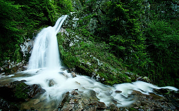 waterfall, river, fun, cool, nature, forest HD wallpaper