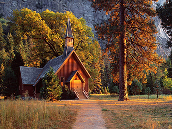 little church, religions, forest, church, house HD wallpaper