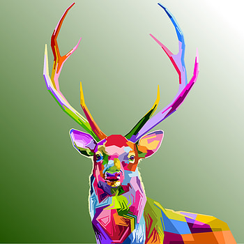 Reindeer, animal, muzzle, horns, colorful art HD phone wallpaper