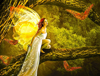 Forest love, colorful, angel, beauty, butterflies, magical, wings, l, art, color, girl, beautiful, elf, fairy, fantasy, pretty, green, forest, splendor HD wallpaper