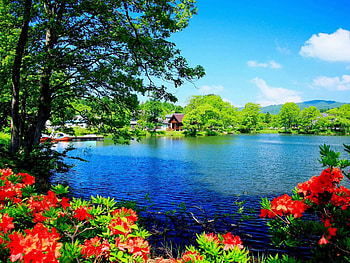 Beautiful Nature Scenery Beautiful Scenery, Beautiful Nature Views HD wallpaper