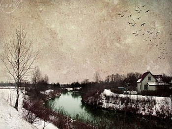 Somewhere something incredible is waiting to be known, waiting, incredible, hope HD wallpaper