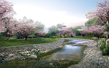 River, Spring HD wallpaper