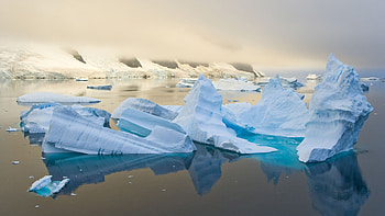 Arctic sentinels, , , quality HD wallpaper