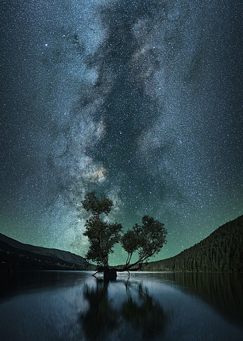Nature, Night, Lake, Wood, Tree, Starry Sky HD phone wallpaper