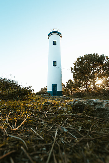 Nature, Trees, Building, Miscellanea, Miscellaneous, Lighthouse, Tower HD phone wallpaper