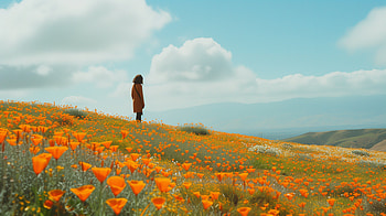 California Poppy Fields, poppy, California Poppy, nature, wildflower, landscape HD wallpaper