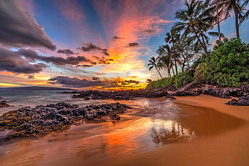 Hawaiian sunset, sea, palms, sand, coast, paradise, beautiful, beach, fiery, Mexico, summer, Hawaii, reflection, sky, ocean, sunset HD wallpaper