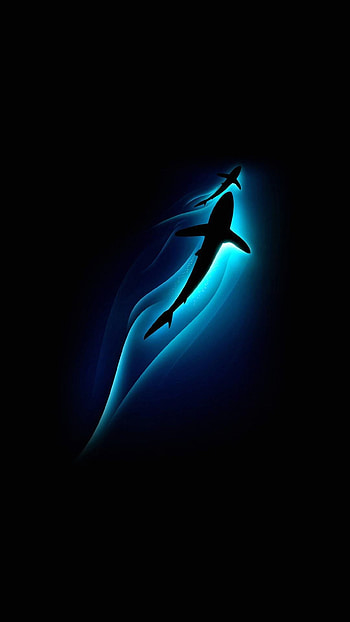 AMOLED Minimalist . AMOLED . Black Background. Dark for Android and . Sfondi carini, Sfondi, Minimalist Shark HD phone wallpaper