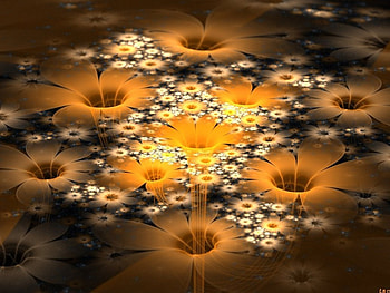 Orange Carpet, design, fractal, orange, flower HD wallpaper