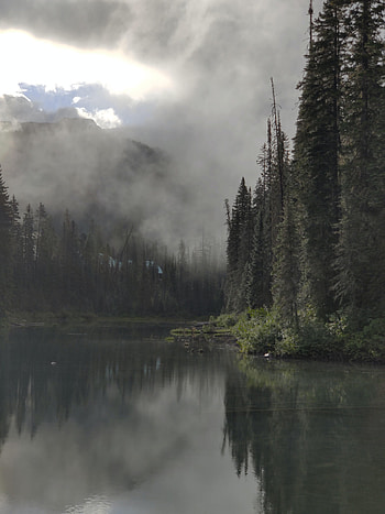 Nature, Rivers, Trees, Forest, Fog, Darkness HD phone wallpaper