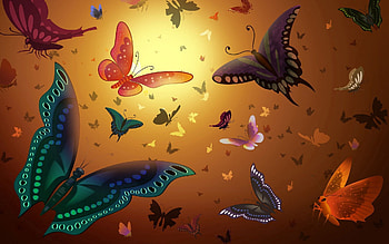 Butterflies, Background, Texture, Textures, , Drawing, Color HD wallpaper
