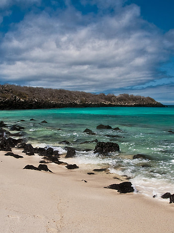 Galapagos Islands, , , Mobile HD phone wallpaper