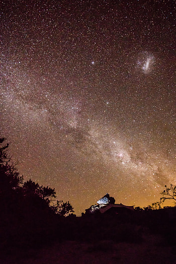 Nature, Stones, Stars, Bush, Starry Sky, Nebula HD phone wallpaper