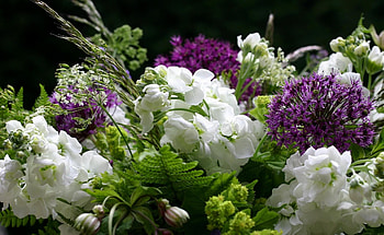 Flowers, Close-Up, Greens, Bouquet HD wallpaper