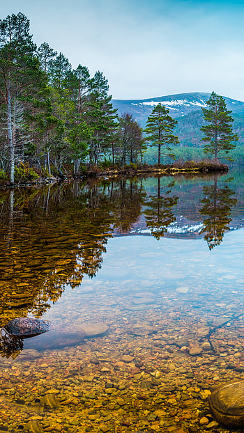 Alpine Mirror — Lake & Forest , nature, landscape HD phone wallpaper