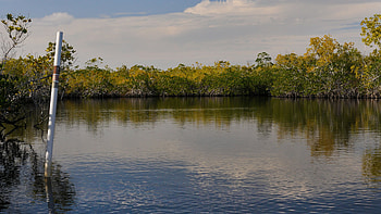 Everglades National Park, Paddling paradise, Unforgettable experience HD wallpaper