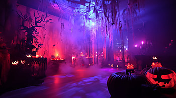 Spooky Halloween Party for Festive Vibes, halloween, Halloween Party, haunted house, christmas ornaments, spooky HD wallpaper