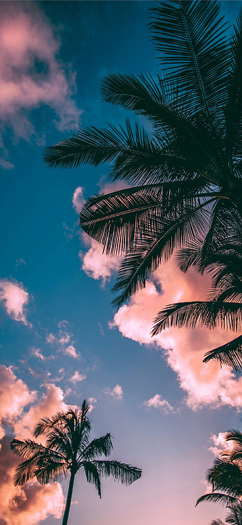 Dominican Republic , Best, , High quality HD phone wallpaper