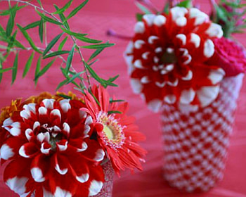 Beautiful Flowers, flowers, container, bloom, red HD wallpaper