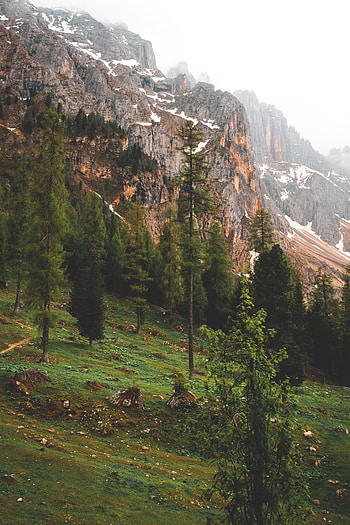 Nature, Trees, Mountains, Rocks, Fog HD phone wallpaper