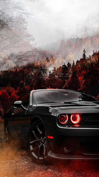 Black Dodge Challenger - : HD phone wallpaper