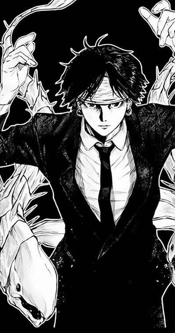 HxH, manga, anime HD phone wallpaper