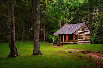 Forest cottage, summer, wooden, house, trees, grass, cottage, spring, forest, beautiful HD wallpaper
