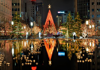 Christmas in Paris, night, art , beautiful, decoration, reflection, cyti park, lightining, water, christmas tree HD wallpaper