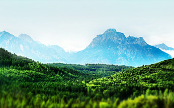 Into the Wild Green Yonder, green, landscape, beautiful, nature, amazing, mountains, forest HD wallpaper