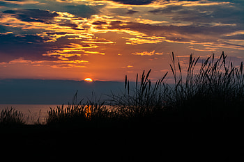 Sunset, grass, nature, water HD wallpaper