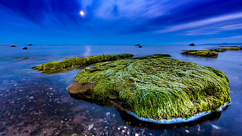 Scottish Beach, Nature, graphy, Beaches, Scotland HD wallpaper