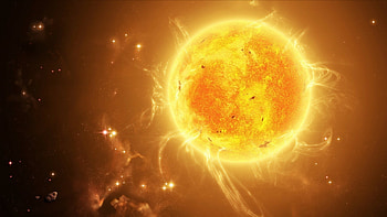 Sun, Sunflowers' delight, Sunny days, Summer vibes HD wallpaper
