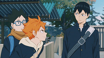 Haikyuu!!, Haikyuu!! Ideas, Haikyuu!!, Anime Funny HD wallpaper