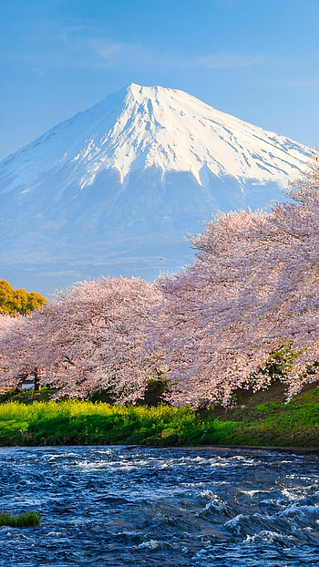 Mount Fuji, Travels, , Popular HD phone wallpaper