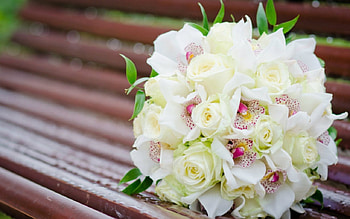Beautiful bouquet, bench, bouquet, flowers, petals HD wallpaper