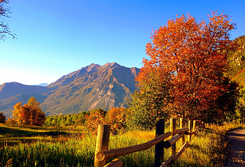 Autumn landscape, fall, landscape, colors, grass, tree, mountain, season, fence, autumn, foliage HD wallpaper