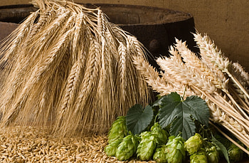 Grains and cereals, , Nutritious food, Background HD wallpaper