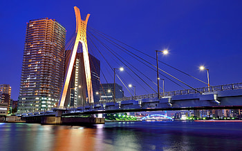 Bridge, River, Tokyo, , Chuo Ohashi Bridge, House, Japan, Light, Metropolis, Night, Sky, Skyscraper, Cities HD wallpaper