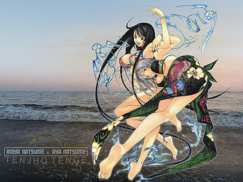 Tenjou-Tenge, cool HD wallpaper