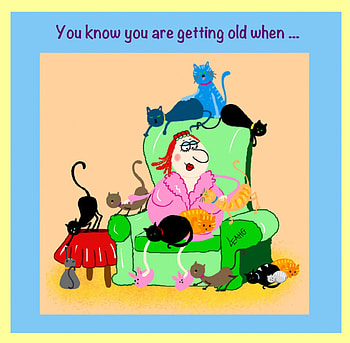 FUNNY OLD LADY, OLD, LADY, FUNNY, CAT HD wallpaper