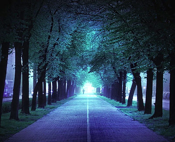 Blue Street, blue, , street, cool, beautiful HD wallpaper