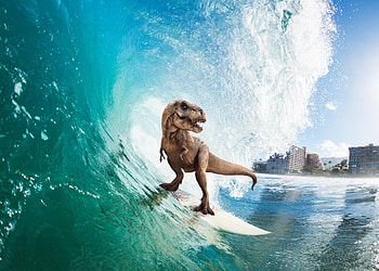 Surfing T Rex, trex, artist, artwork HD wallpaper