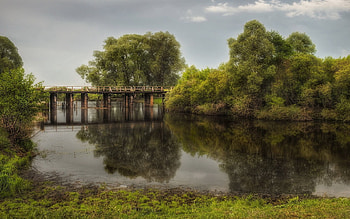 Landscape, Nature, Water, Trees, Summer, Park, Bridge, Grey, Basin HD wallpaper