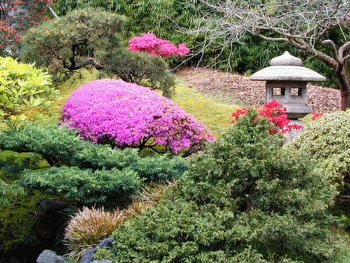 Tea garden, colors, sesons, beauty, gardens, pink, green, trees, nature, water, places HD wallpaper