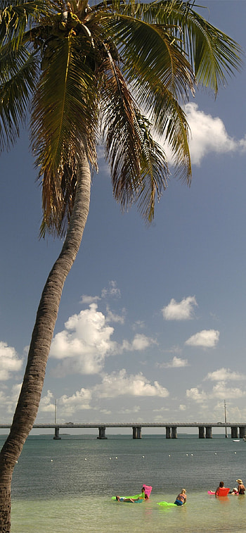 Florida Keys , Stunning seascapes, Sunny getaways, backgrounds HD phone wallpaper